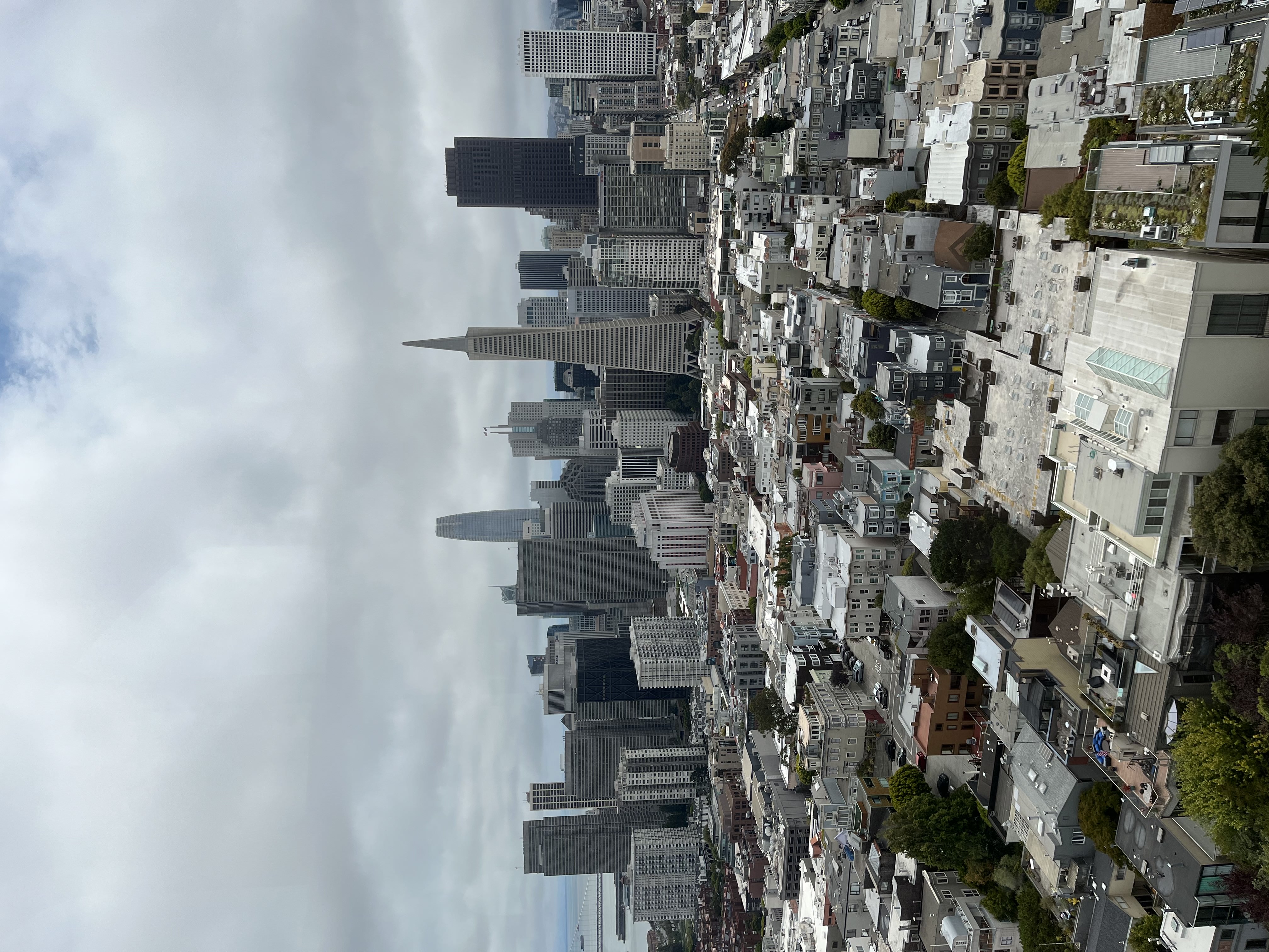 View of Financial District from Coit Tower